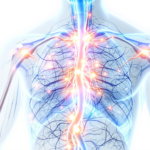 Про що мовчать лікарі: лімфатична система — головна причина ваших набряків і хвороб